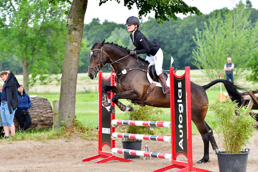Goldene Schärpe PFerde  in Löningen  11+12.6.22 | 22062022 Springen 2 Abt _418 