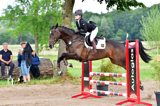 Goldene Schärpe PFerde  in Löningen  11+12.6.22 | 22062022 Springen 2 Abt _419 