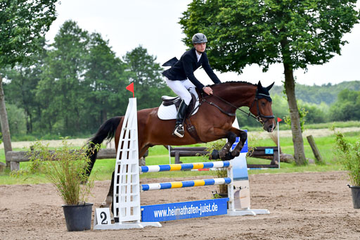 Goldene Schärpe PFerde  in Löningen  11+12.6.22 | 22062022 Springen 2 Abt _421 