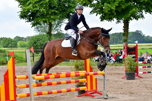 Goldene Schärpe PFerde  in Löningen  11+12.6.22 | 22062022 Springen 2 Abt _424 