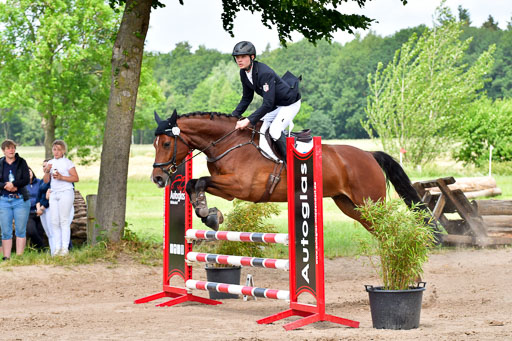 Goldene Schärpe PFerde  in Löningen  11+12.6.22 | 22062022 Springen 2 Abt _430 