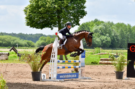 Goldene Schärpe PFerde  in Löningen  11+12.6.22 | 22062022 Springen 2 Abt _431 