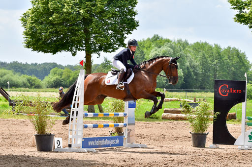 Goldene Schärpe PFerde  in Löningen  11+12.6.22 | 22062022 Springen 2 Abt _432 