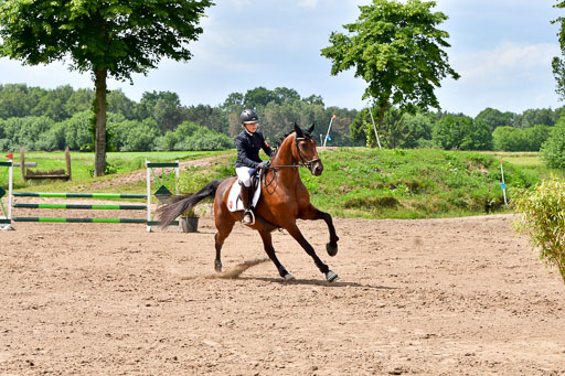 Goldene Schärpe PFerde  in Löningen  11+12.6.22 | 22062022 Springen 2 Abt _433 