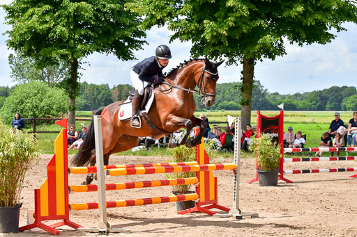 Goldene Schärpe PFerde  in Löningen  11+12.6.22 | 22062022 Springen 2 Abt _435 