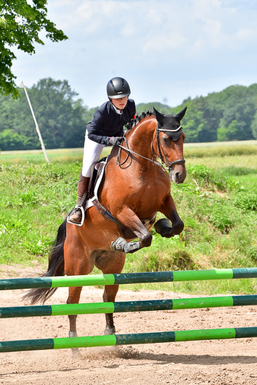 Goldene Schärpe PFerde  in Löningen  11+12.6.22 | 22062022 Springen 2 Abt _437 