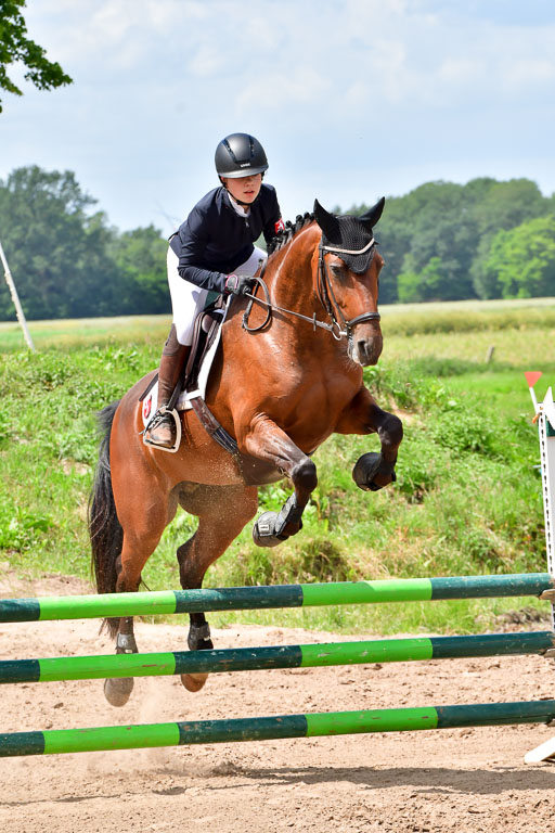 Goldene Schärpe PFerde  in Löningen  11+12.6.22 | 22062022 Springen 2 Abt _438 