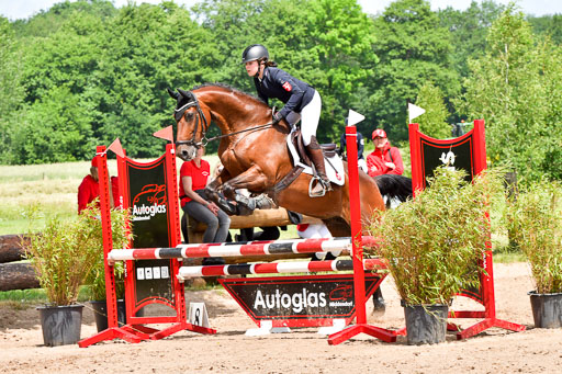 Goldene Schärpe PFerde  in Löningen  11+12.6.22 | 22062022 Springen 2 Abt _439 