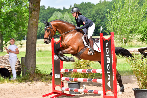 Goldene Schärpe PFerde  in Löningen  11+12.6.22 | 22062022 Springen 2 Abt _441 