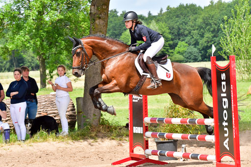 Goldene Schärpe PFerde  in Löningen  11+12.6.22 | 22062022 Springen 2 Abt _442 