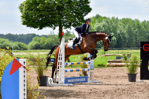 Goldene Schärpe PFerde  in Löningen  11+12.6.22 | 22062022 Springen 2 Abt _443 