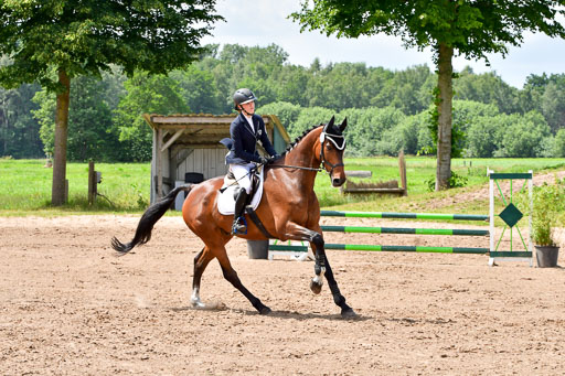 Goldene Schärpe PFerde  in Löningen  11+12.6.22 | 22062022 Springen 2 Abt _444 
