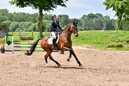 Goldene Schärpe PFerde  in Löningen  11+12.6.22 | 22062022 Springen 2 Abt _445 