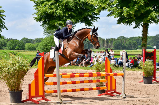 Goldene Schärpe PFerde  in Löningen  11+12.6.22 | 22062022 Springen 2 Abt _446 