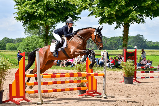 Goldene Schärpe PFerde  in Löningen  11+12.6.22 | 22062022 Springen 2 Abt _447 