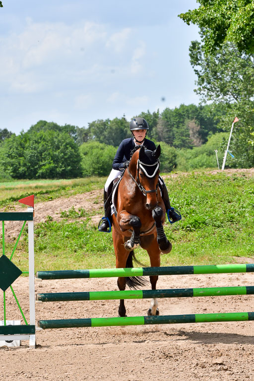 Goldene Schärpe PFerde  in Löningen  11+12.6.22 | 22062022 Springen 2 Abt _449 