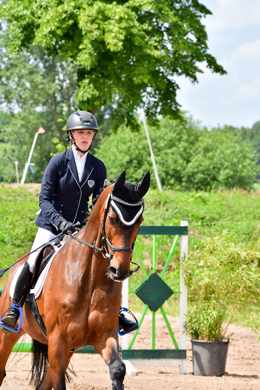Goldene Schärpe PFerde  in Löningen  11+12.6.22 | 22062022 Springen 2 Abt _450 