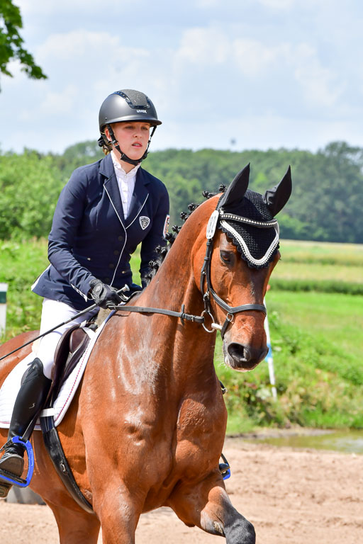 Goldene Schärpe PFerde  in Löningen  11+12.6.22 | 22062022 Springen 2 Abt _451 