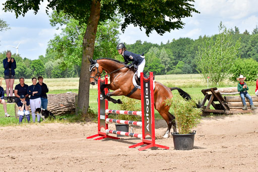 Goldene Schärpe PFerde  in Löningen  11+12.6.22 | 22062022 Springen 2 Abt _454 