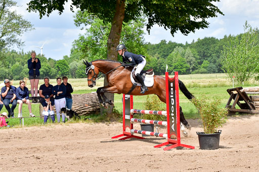Goldene Schärpe PFerde  in Löningen  11+12.6.22 | 22062022 Springen 2 Abt _455 