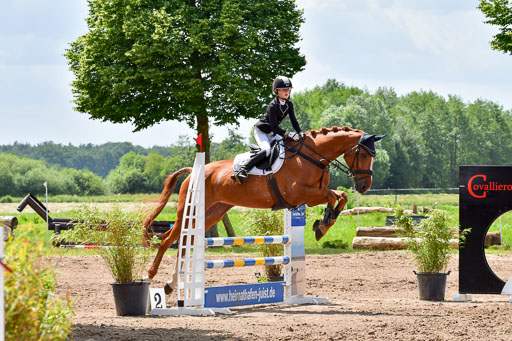 Goldene Schärpe PFerde  in Löningen  11+12.6.22 | 22062022 Springen 2 Abt _458 