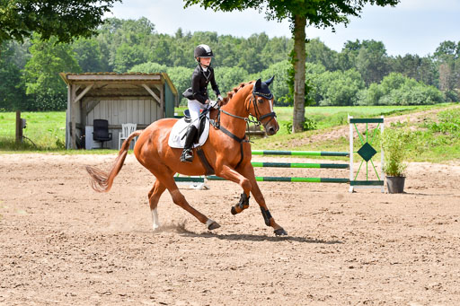 Goldene Schärpe PFerde  in Löningen  11+12.6.22 | 22062022 Springen 2 Abt _459 