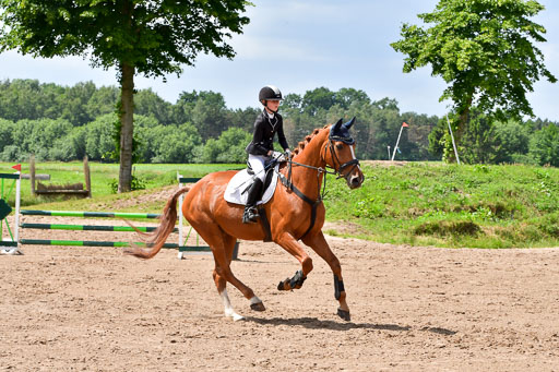Goldene Schärpe PFerde  in Löningen  11+12.6.22 | 22062022 Springen 2 Abt _460 