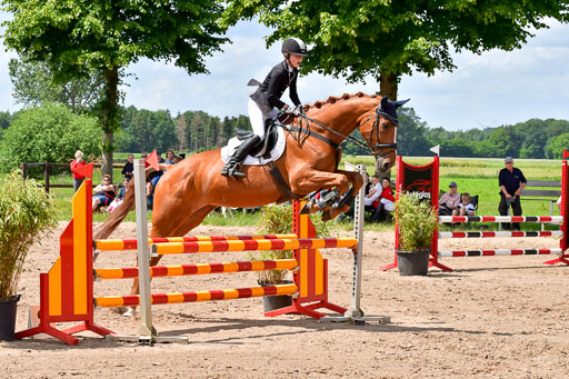 Goldene Schärpe PFerde  in Löningen  11+12.6.22 | 22062022 Springen 2 Abt _461 