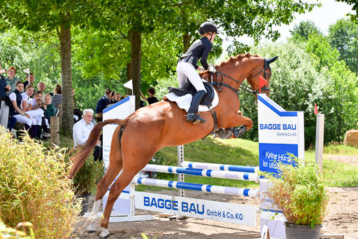 Goldene Schärpe PFerde  in Löningen  11+12.6.22 | 22062022 Springen 2 Abt _462 