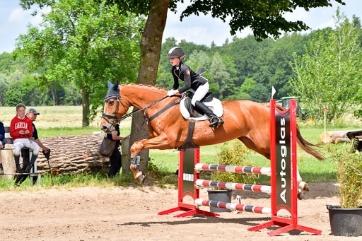 Goldene Schärpe PFerde  in Löningen  11+12.6.22 | 22062022 Springen 2 Abt _468 