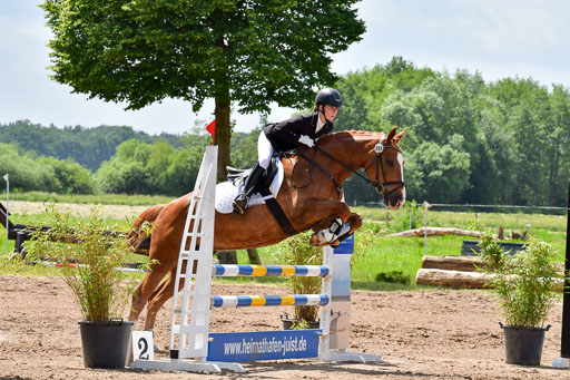 Goldene Schärpe PFerde  in Löningen  11+12.6.22 | 22062022 Springen 2 Abt _470 