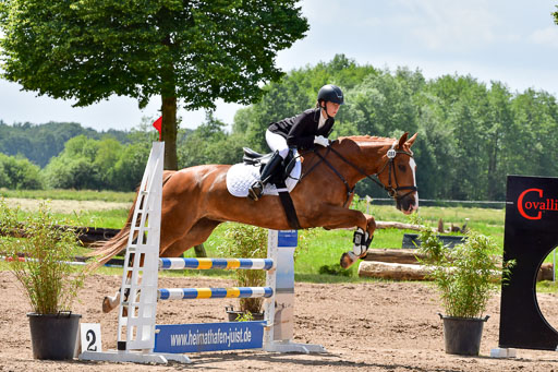 Goldene Schärpe PFerde  in Löningen  11+12.6.22 | 22062022 Springen 2 Abt _471 