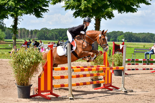 Goldene Schärpe PFerde  in Löningen  11+12.6.22 | 22062022 Springen 2 Abt _473 