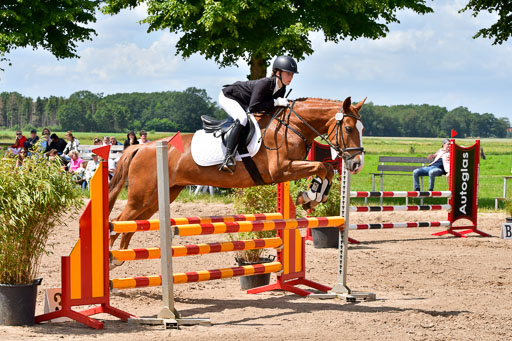 Goldene Schärpe PFerde  in Löningen  11+12.6.22 | 22062022 Springen 2 Abt _474 