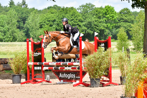 Goldene Schärpe PFerde  in Löningen  11+12.6.22 | 22062022 Springen 2 Abt _475 