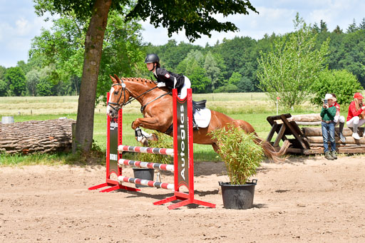 Goldene Schärpe PFerde  in Löningen  11+12.6.22 | 22062022 Springen 2 Abt _476 
