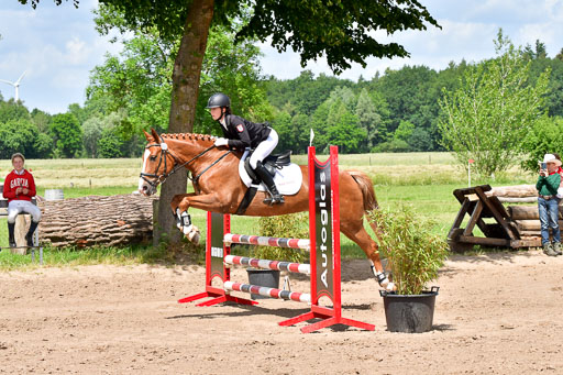 Goldene Schärpe PFerde  in Löningen  11+12.6.22 | 22062022 Springen 2 Abt _477 