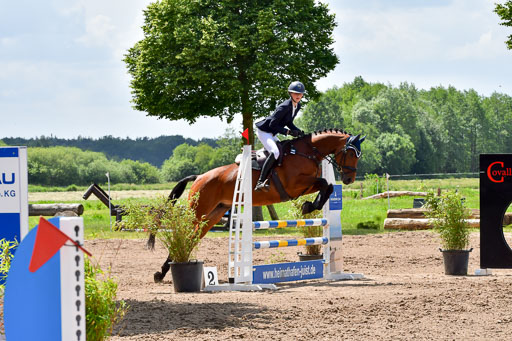 Goldene Schärpe PFerde  in Löningen  11+12.6.22 | 22062022 Springen 2 Abt _478 