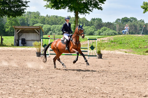 Goldene Schärpe PFerde  in Löningen  11+12.6.22 | 22062022 Springen 2 Abt _479 
