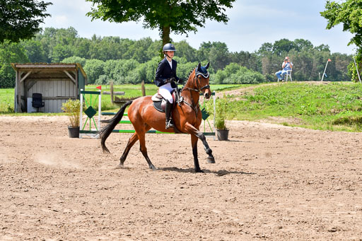 Goldene Schärpe PFerde  in Löningen  11+12.6.22 | 22062022 Springen 2 Abt _480 