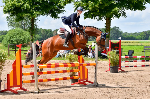 Goldene Schärpe PFerde  in Löningen  11+12.6.22 | 22062022 Springen 2 Abt _483 