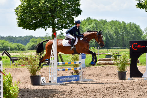 Goldene Schärpe PFerde  in Löningen  11+12.6.22 | 22062022 Springen 2 Abt _489 