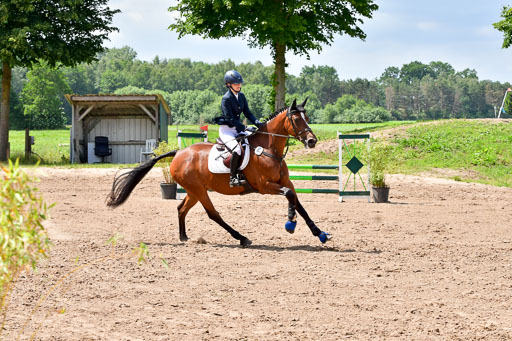 Goldene Schärpe PFerde  in Löningen  11+12.6.22 | 22062022 Springen 2 Abt _490 