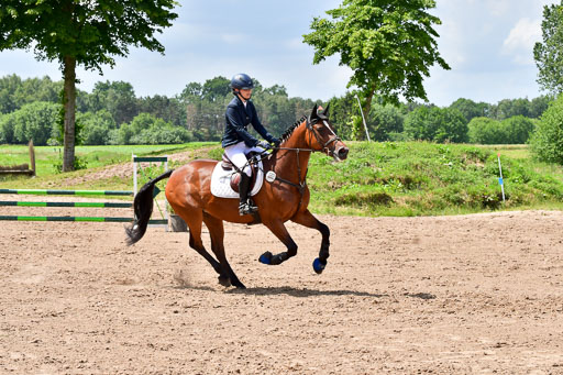 Goldene Schärpe PFerde  in Löningen  11+12.6.22 | 22062022 Springen 2 Abt _491 