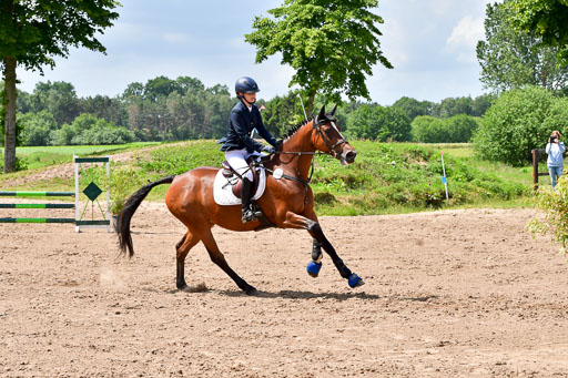 Goldene Schärpe PFerde  in Löningen  11+12.6.22 | 22062022 Springen 2 Abt _492 