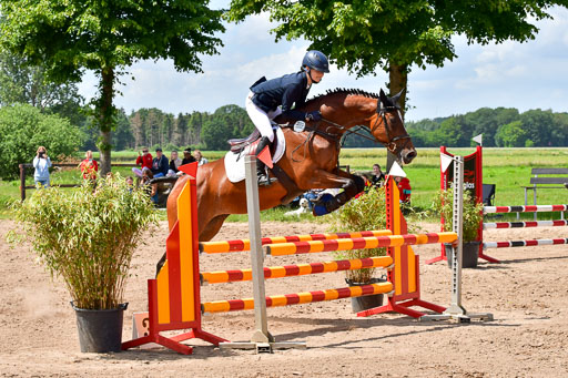 Goldene Schärpe PFerde  in Löningen  11+12.6.22 | 22062022 Springen 2 Abt _493 