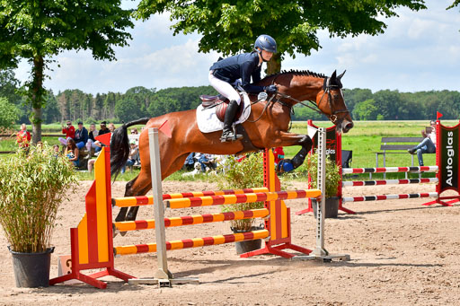 Goldene Schärpe PFerde  in Löningen  11+12.6.22 | 22062022 Springen 2 Abt _494 