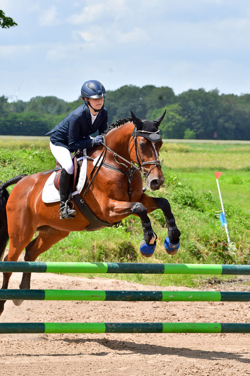 Goldene Schärpe PFerde  in Löningen  11+12.6.22 | 22062022 Springen 2 Abt _497 