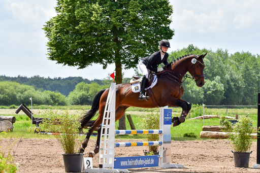 Goldene Schärpe PFerde  in Löningen  11+12.6.22 | 22062022 Springen 2 Abt _503 