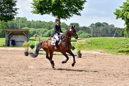 Goldene Schärpe PFerde  in Löningen  11+12.6.22 | 22062022 Springen 2 Abt _504 